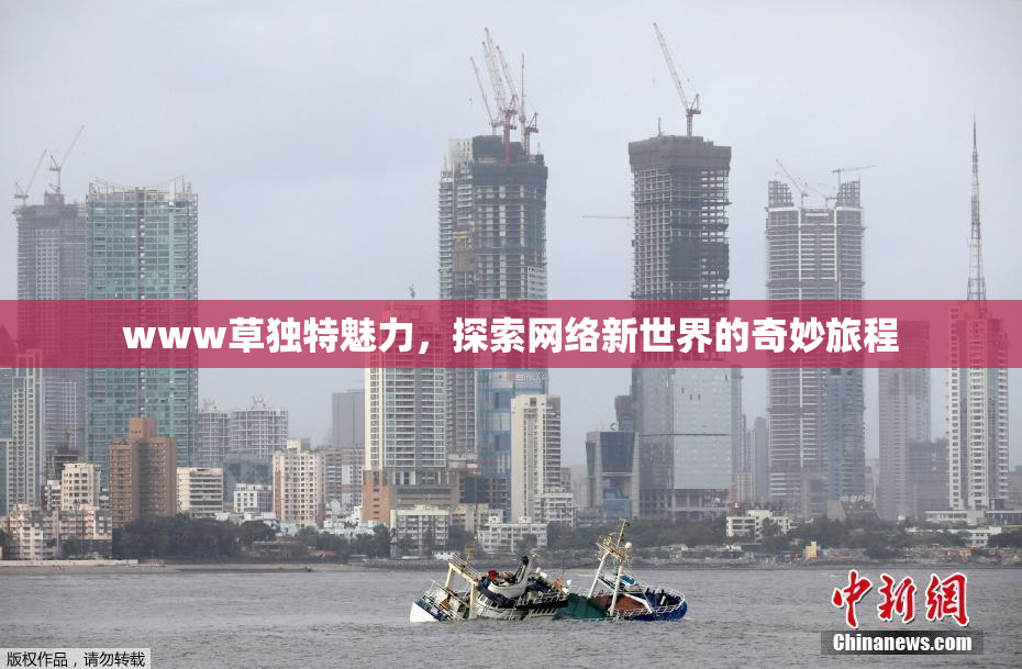 www草独特魅力，探索网络新世界的奇妙旅程