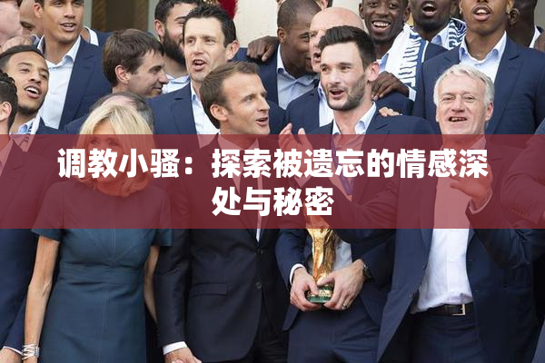 调教小骚：探索被遗忘的情感深处与秘密