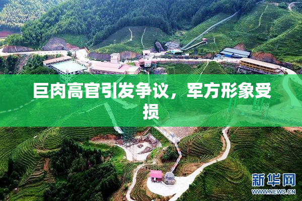 巨肉高官引发争议，军方形象受损