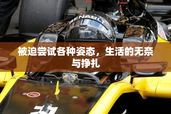 被迫尝试各种姿态，生活的无奈与挣扎