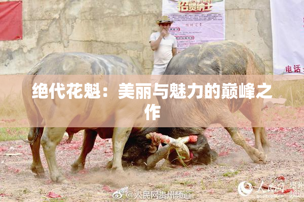 绝代花魁：美丽与魅力的巅峰之作