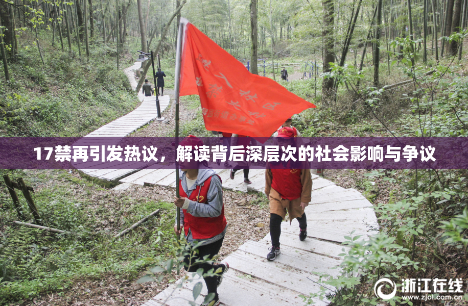 17禁再引发热议，解读背后深层次的社会影响与争议