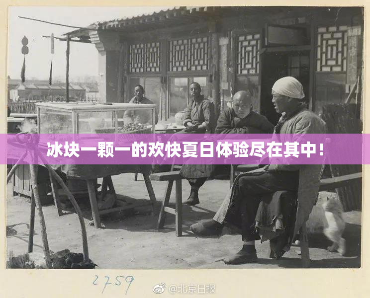 冰块一颗一的欢快夏日体验尽在其中！