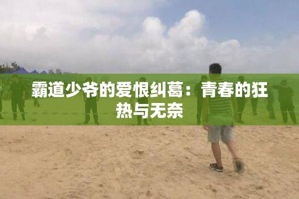 霸道少爷的爱恨纠葛：青春的狂热与无奈