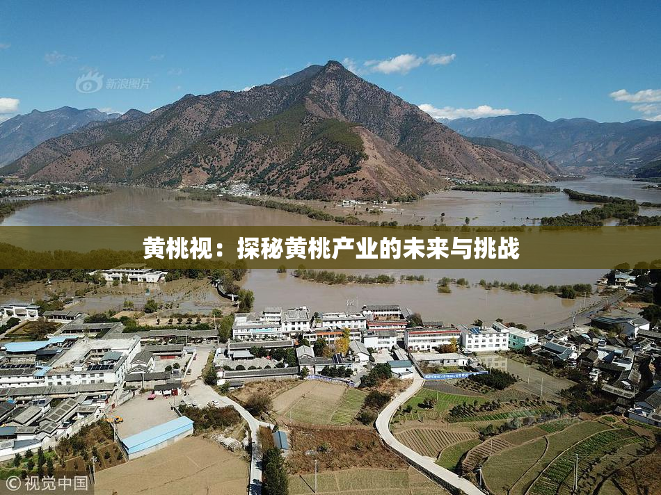 黄桃视：探秘黄桃产业的未来与挑战