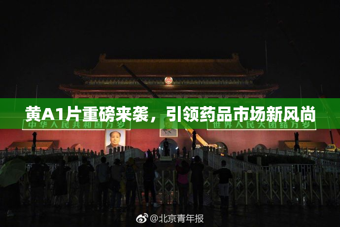 黄A1片重磅来袭，引领药品市场新风尚
