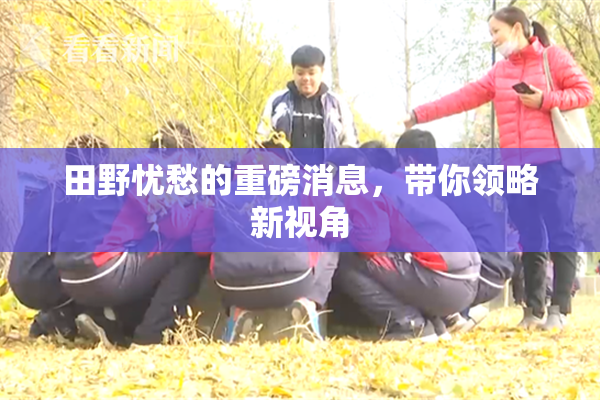 田野忧愁的重磅消息，带你领略新视角