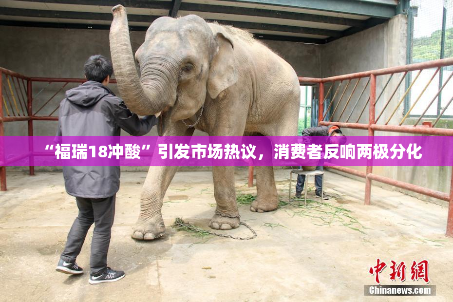 “福瑞18冲酸”引发市场热议，消费者反响两极分化