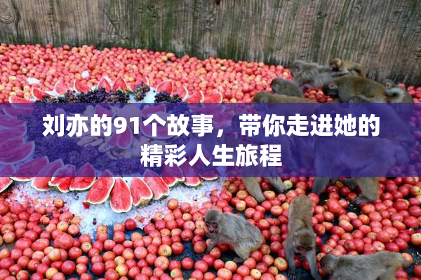 刘亦的91个故事，带你走进她的精彩人生旅程