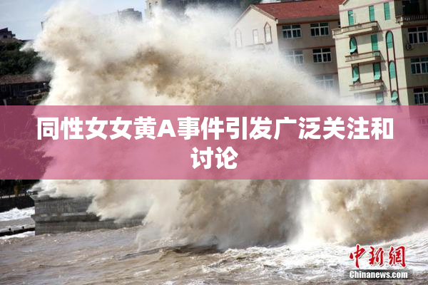 同性女女黄A事件引发广泛关注和讨论