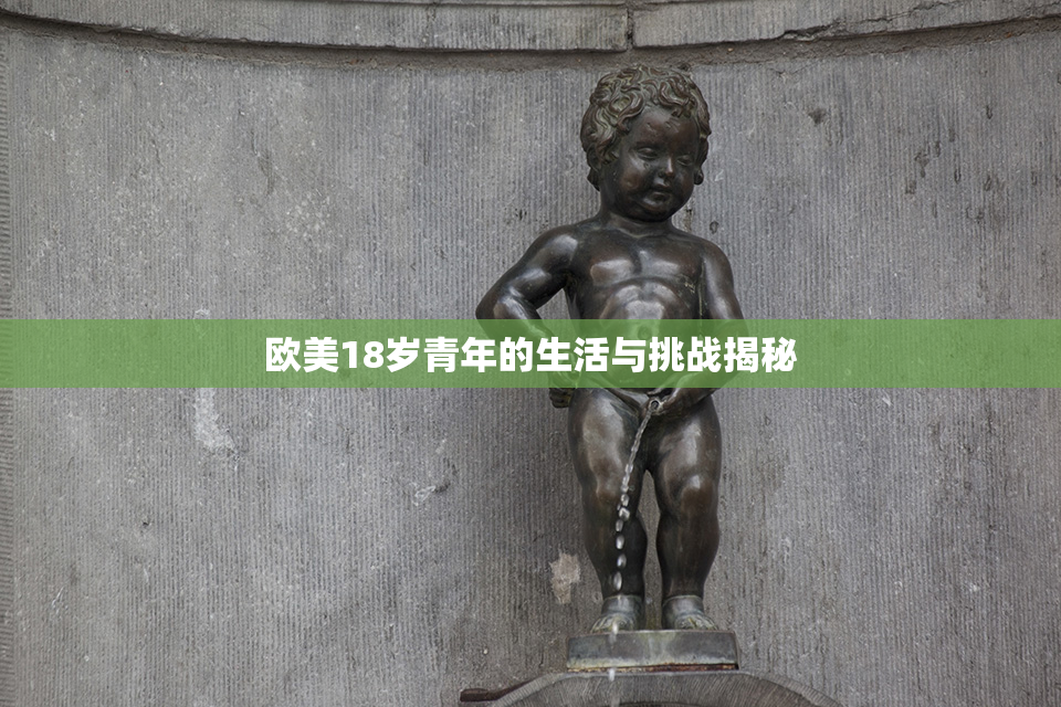 欧美18岁青年的生活与挑战揭秘