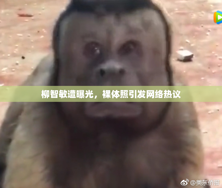 柳智敏遭曝光，裸体照引发网络热议