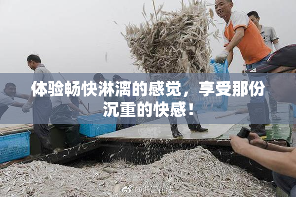 体验畅快淋漓的感觉，享受那份沉重的快感！