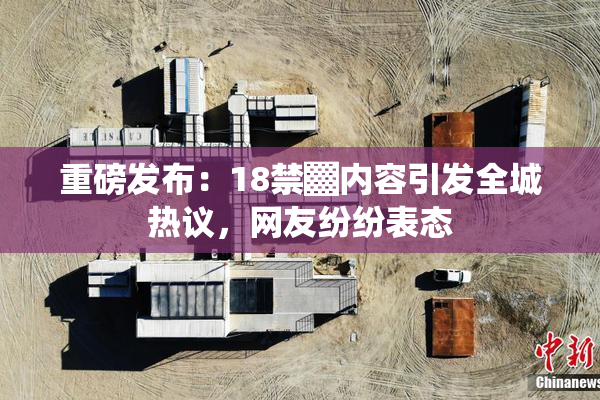 重磅发布：18禁▓内容引发全城热议，网友纷纷表态