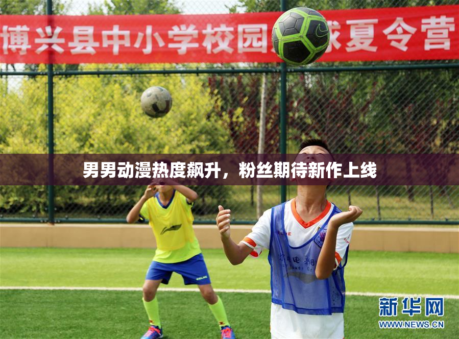 男男动漫热度飙升，粉丝期待新作上线