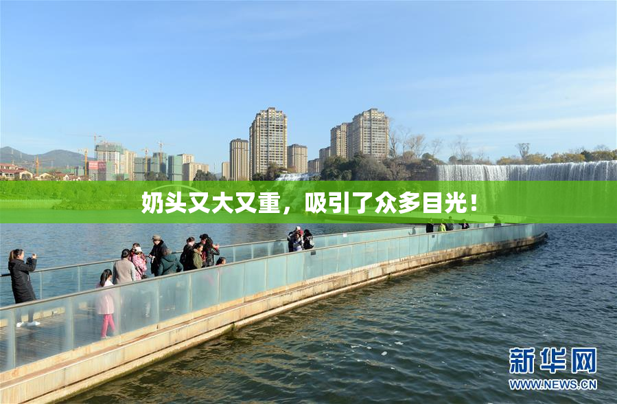 奶头又大又重，吸引了众多目光！