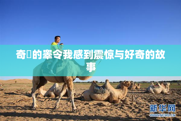 奇犽的睾令我感到震惊与好奇的故事
