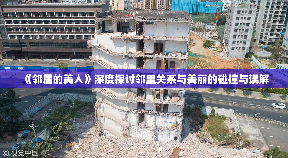 《邻居的美人》深度探讨邻里关系与美丽的碰撞与误解