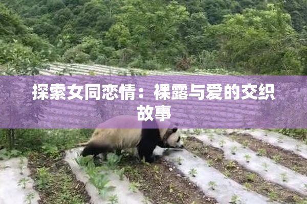 探索女同恋情：裸露与爱的交织故事