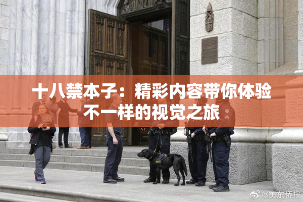 十八禁本子：精彩内容带你体验不一样的视觉之旅