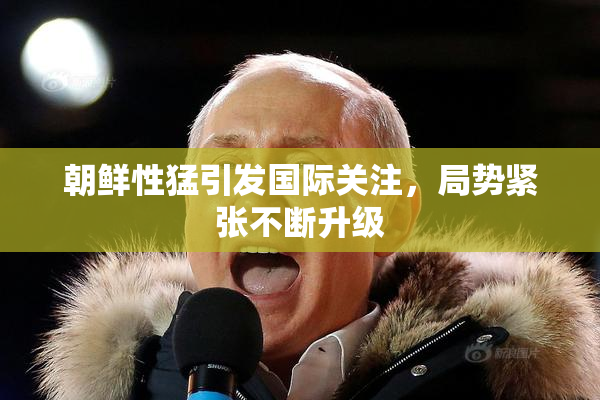 朝鲜性猛引发国际关注，局势紧张不断升级