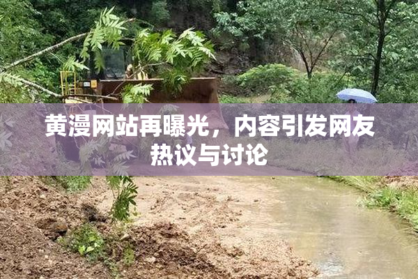 黄漫网站再曝光，内容引发网友热议与讨论