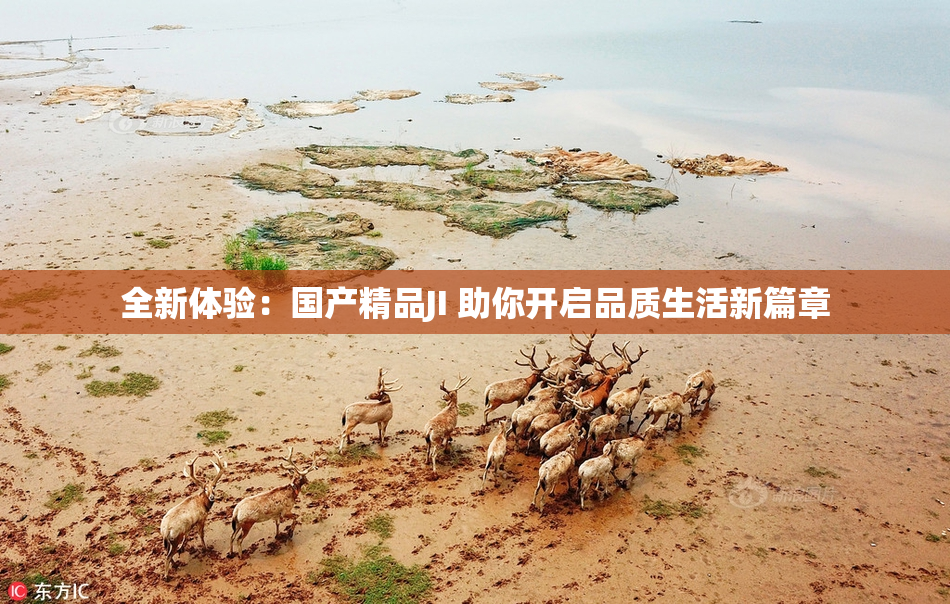 全新体验：国产精品JI 助你开启品质生活新篇章
