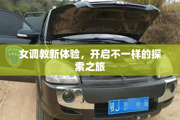 女调教新体验，开启不一样的探索之旅