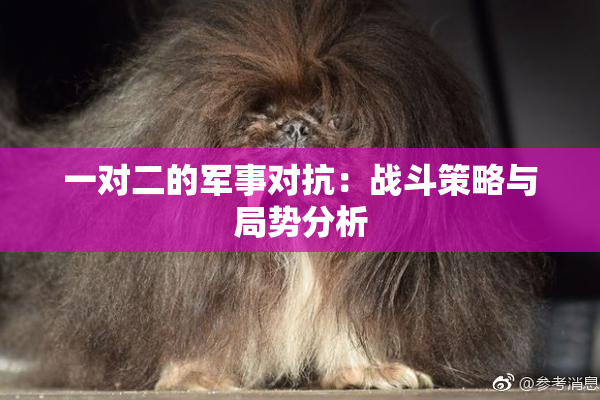 一对二的军事对抗：战斗策略与局势分析