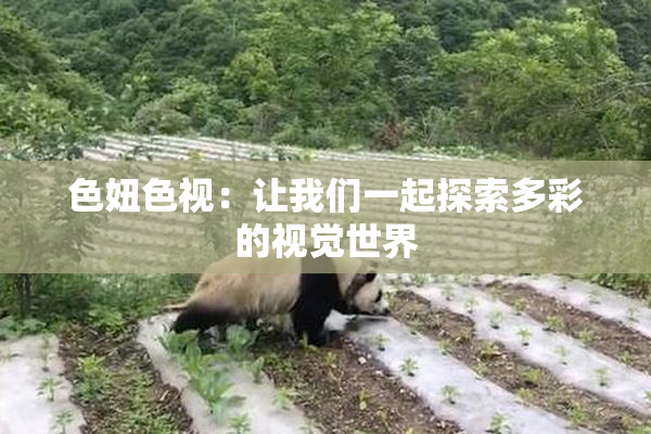 色妞色视：让我们一起探索多彩的视觉世界