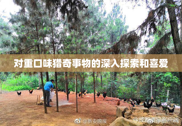 对重口味猎奇事物的深入探索和喜爱