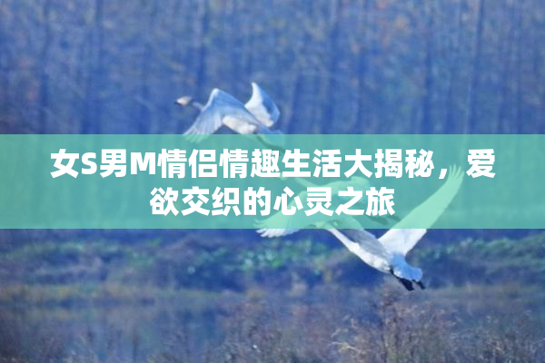 女S男M情侣情趣生活大揭秘，爱欲交织的心灵之旅