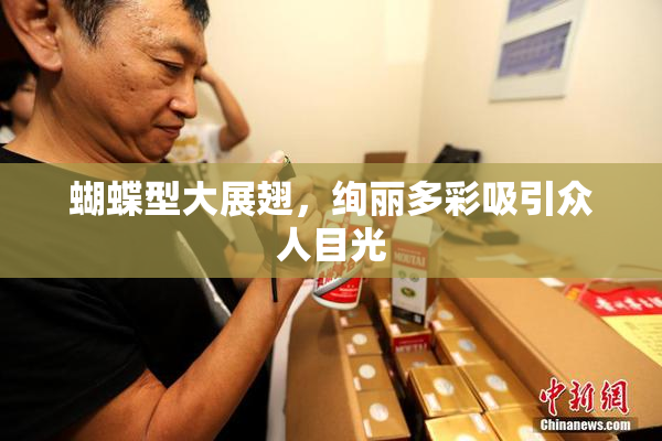 蝴蝶型大展翅，绚丽多彩吸引众人目光