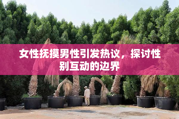女性抚摸男性引发热议，探讨性别互动的边界