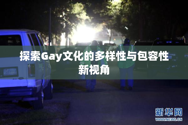 探索Gay文化的多样性与包容性新视角