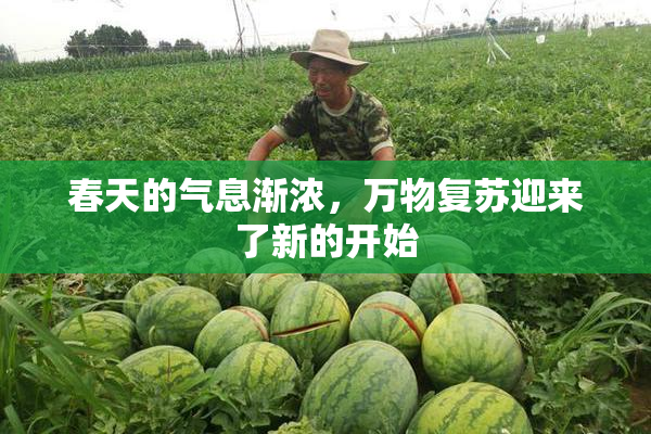 春天的气息渐浓，万物复苏迎来了新的开始