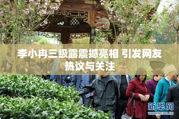 李小冉三级露震撼亮相 引发网友热议与关注
