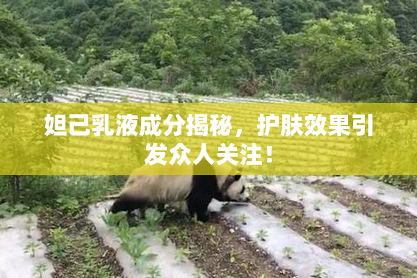妲己乳液成分揭秘，护肤效果引发众人关注！