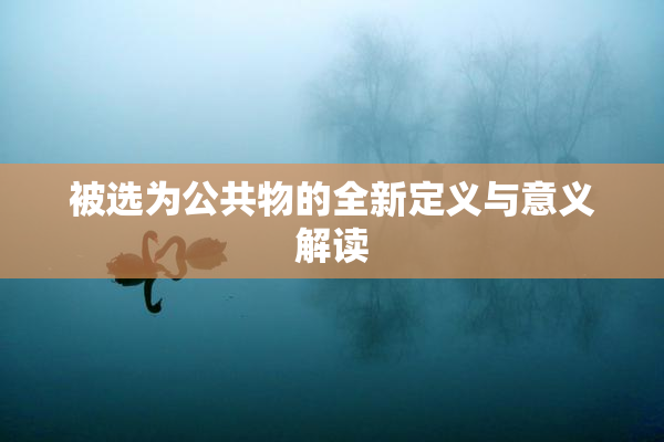 被选为公共物的全新定义与意义解读