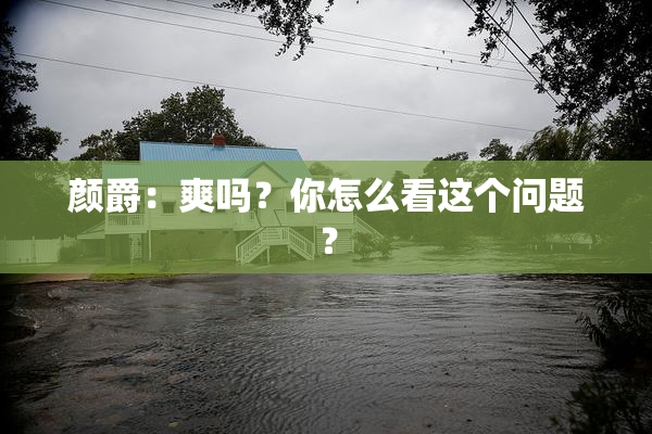 颜爵：爽吗？你怎么看这个问题？