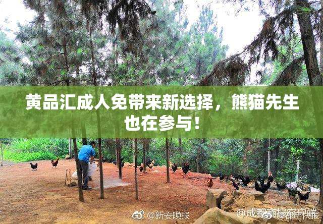 黄品汇成人免带来新选择，熊猫先生也在参与！