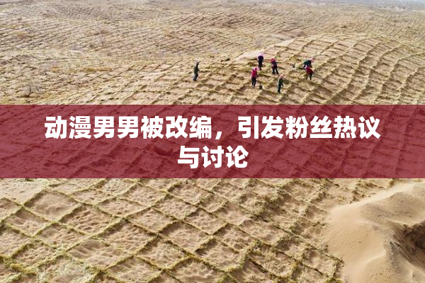 动漫男男被改编，引发粉丝热议与讨论
