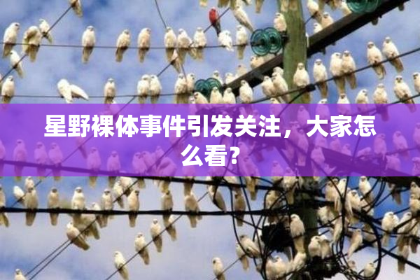 星野裸体事件引发关注，大家怎么看？