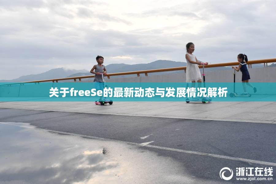 关于freeSe的最新动态与发展情况解析