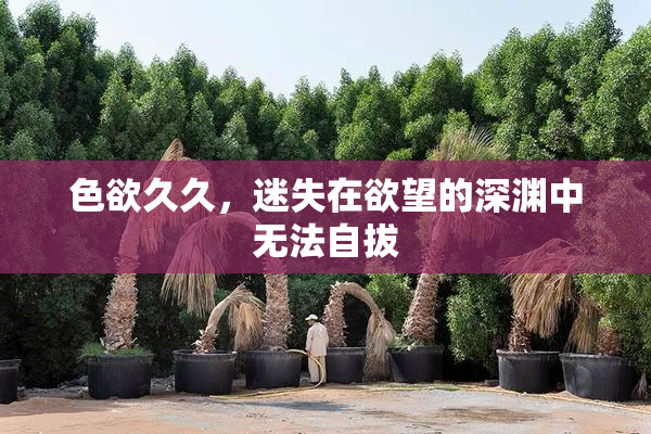 色欲久久，迷失在欲望的深渊中无法自拔