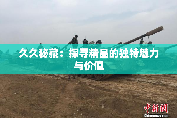 久久秘藏：探寻精品的独特魅力与价值