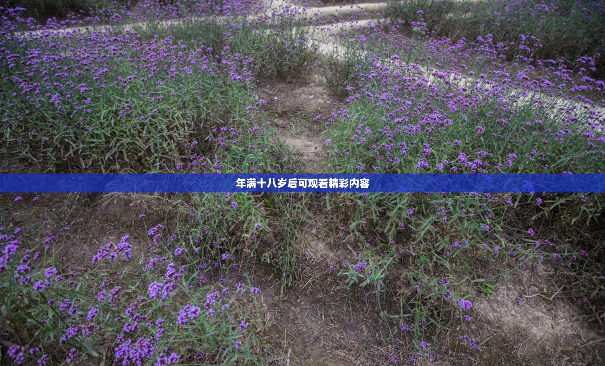 年满十八岁后可观看精彩内容