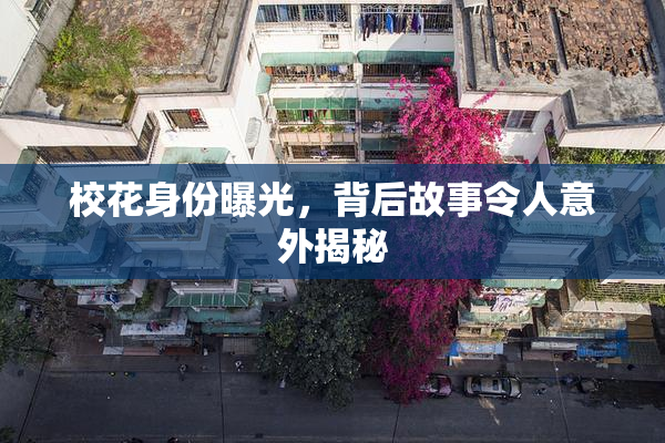 校花身份曝光，背后故事令人意外揭秘