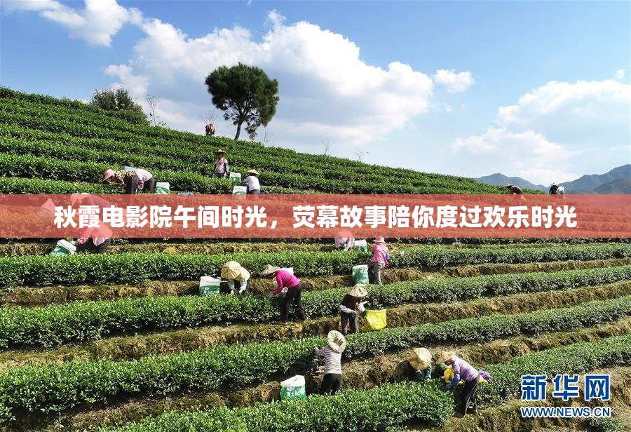 秋霞电影院午间时光，荧幕故事陪你度过欢乐时光