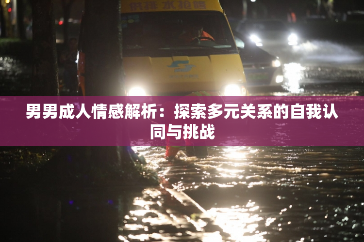 男男成人情感解析：探索多元关系的自我认同与挑战